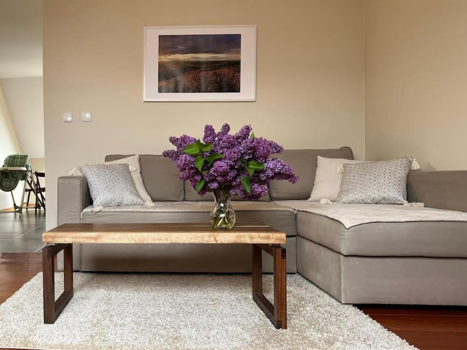 Apartament Hemingwaya Jelenia Góra Esterno foto